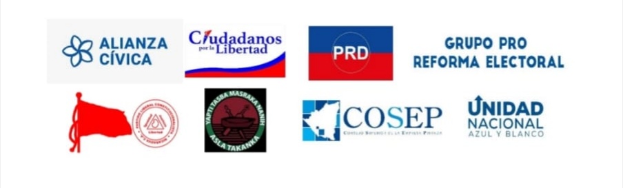 Grupo pro reforma electoral hacen un llamado al gobierno y a OEA a proceder sobre el tema.