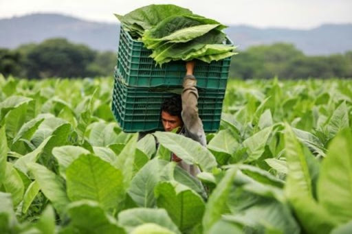 Empresas en crisis por contrabando y reformas tributarias