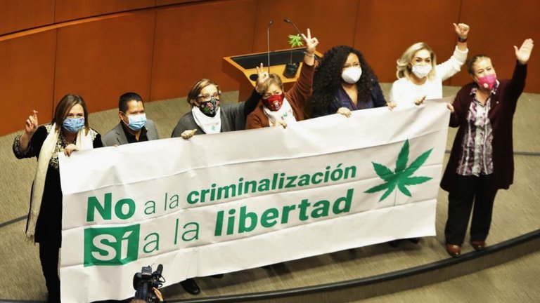 Senado mexicano aprobó regulación y despenalización del uso lúdico de la Marihuana