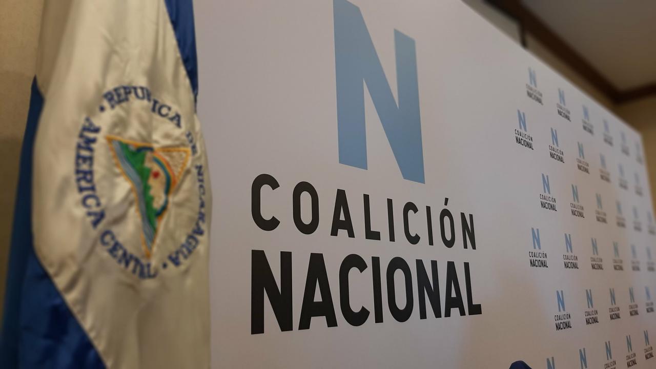 Coalición Nacional solicita diálogo con la Alianza Ciudadana para conformar unidad Opositora