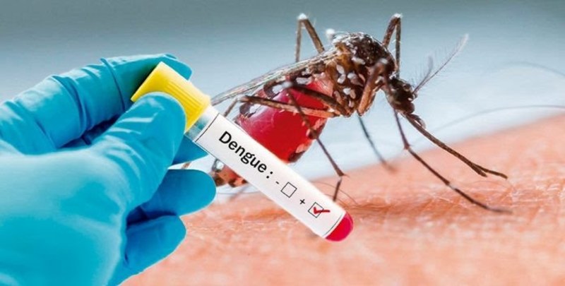 16 muertos por epidemia de dengue en Paraguay