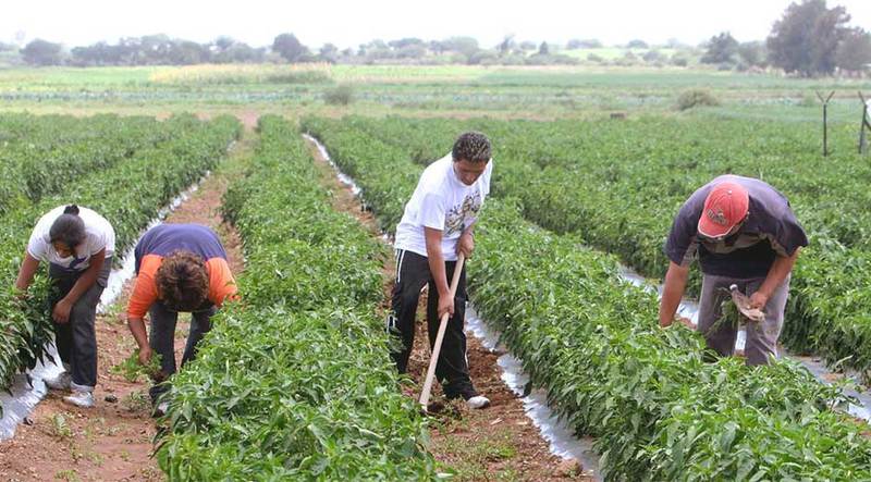Producción agropecuaria en riesgo